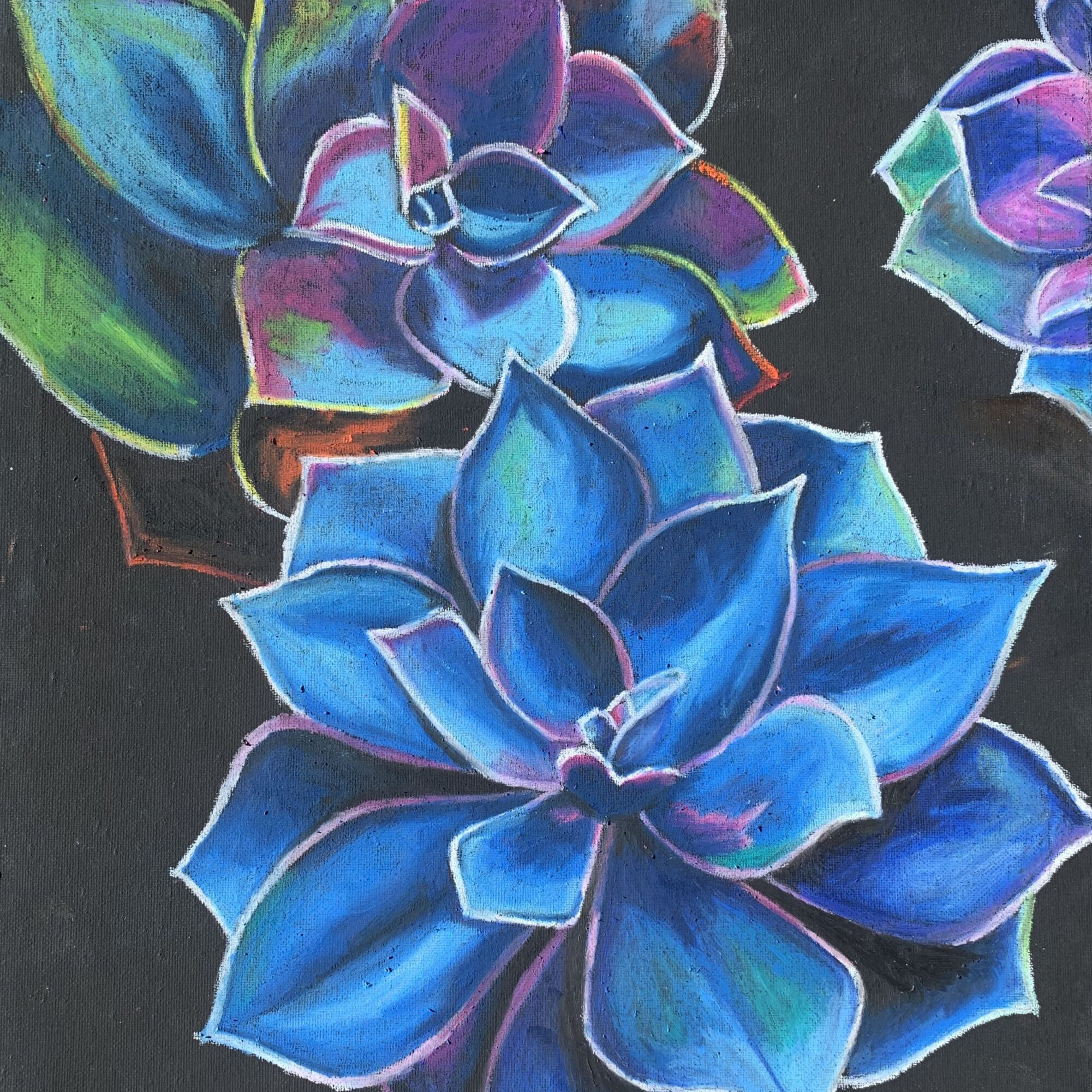 Midnight Succulents in Pastel on Black Canvas