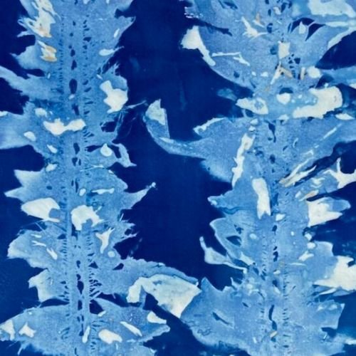 Private Parties 17 Cyanotype Sun Printing art class in san diego